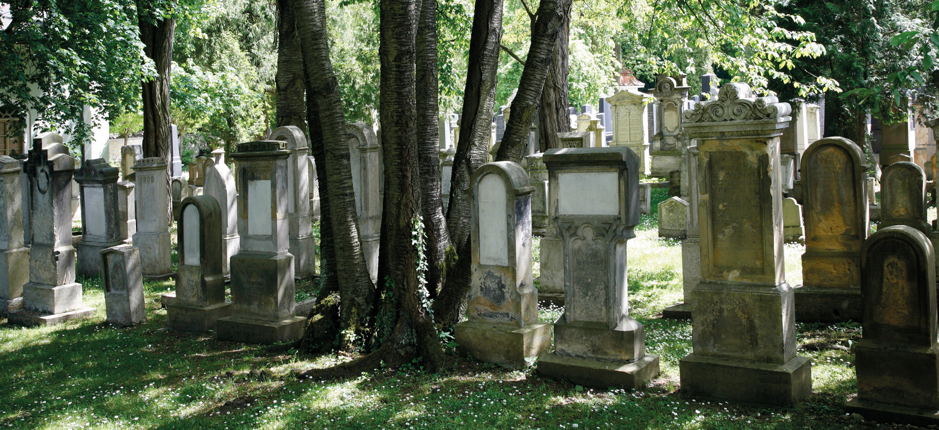 Grabmäler auf dem jüdischen Friedhof der Stadt